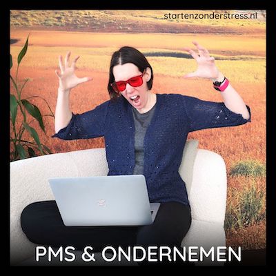 PMS & Ondernemen