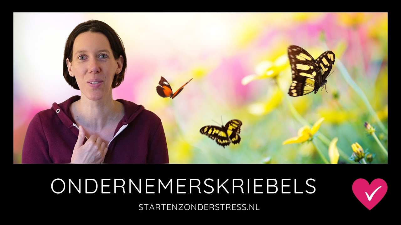 Ondernemerskriebels