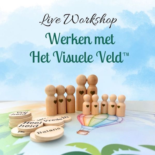 Het Visuele Veld workshop bij Startenzonderstress.nl